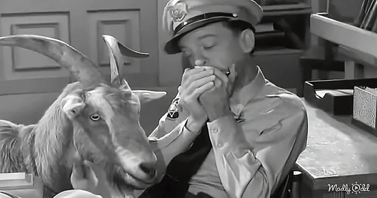 A man in uniform sits beside a goat, both appearing calm and relaxed.