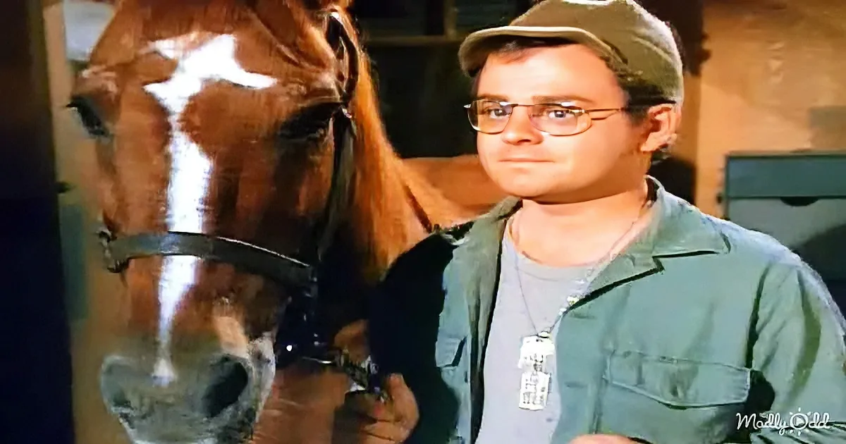 A man in a green shirt and cap stands beside a horse, both looking forward.