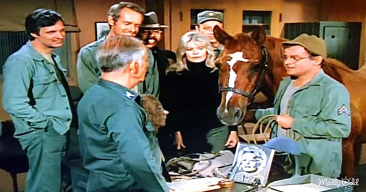 ''The Colonel's Horse' Scene From M*a*S*H Still Tugs on the Heart-Strings'