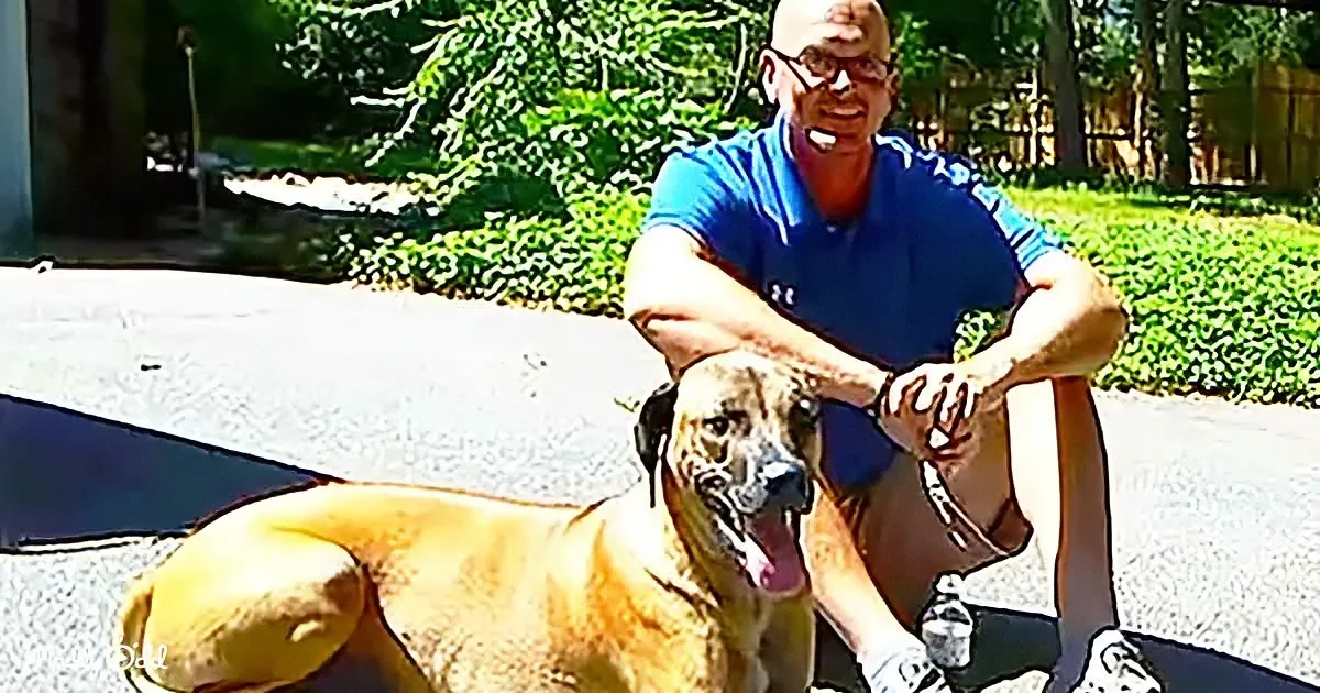 A man in a blue shirt pets a large, light-brown dog on a sunny day.