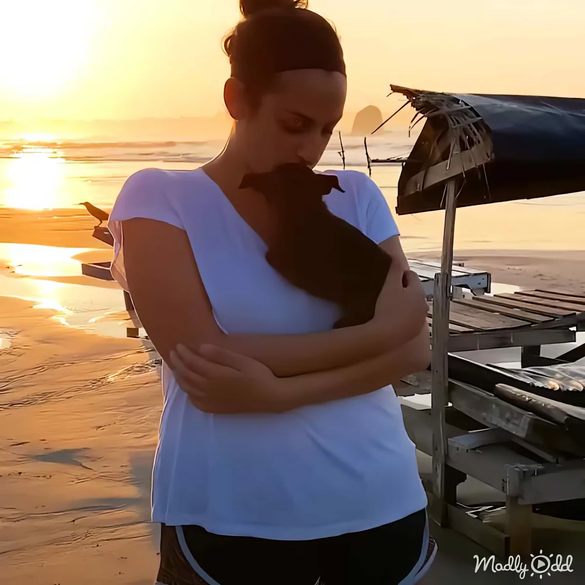 A person hugs a dark animal on a beach at sunset, with a structure and water in the background.