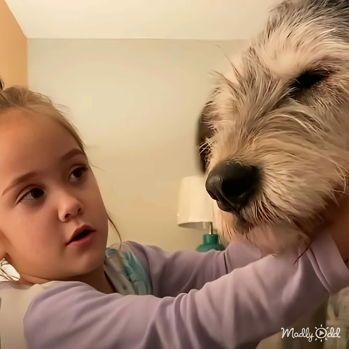 A young girl in purple pajamas holds a fluffy dog close, both looking at each other.