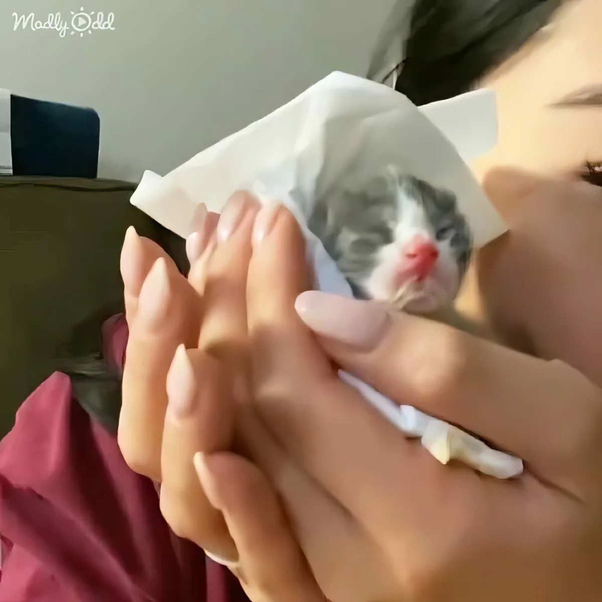 A person holds a tiny kitten in a paper bag, cradling it gently with their hands.