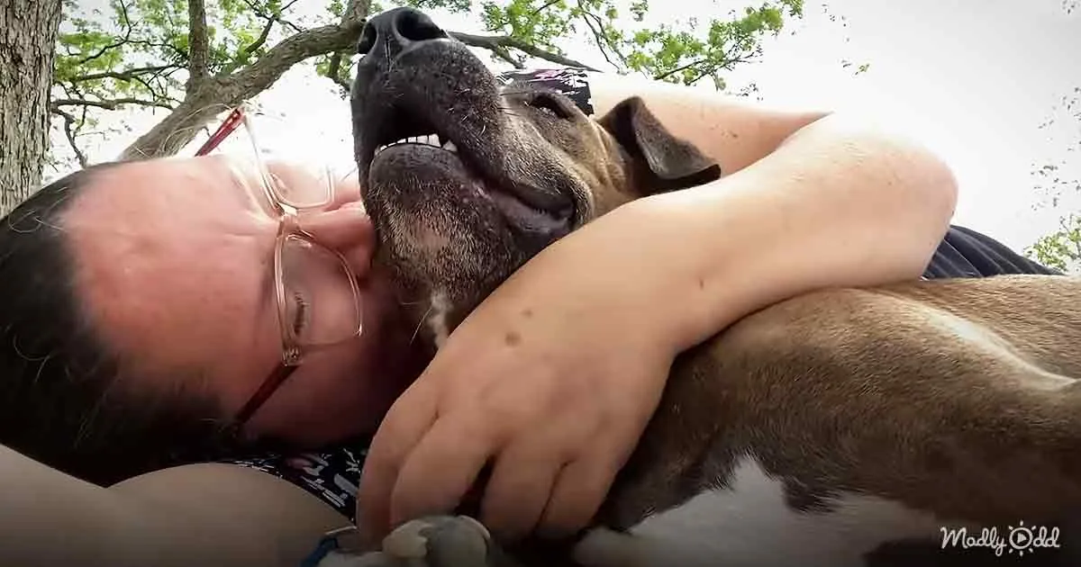 A person is lying down, hugging a large brown dog with a pink collar, both appearing relaxed and happy.