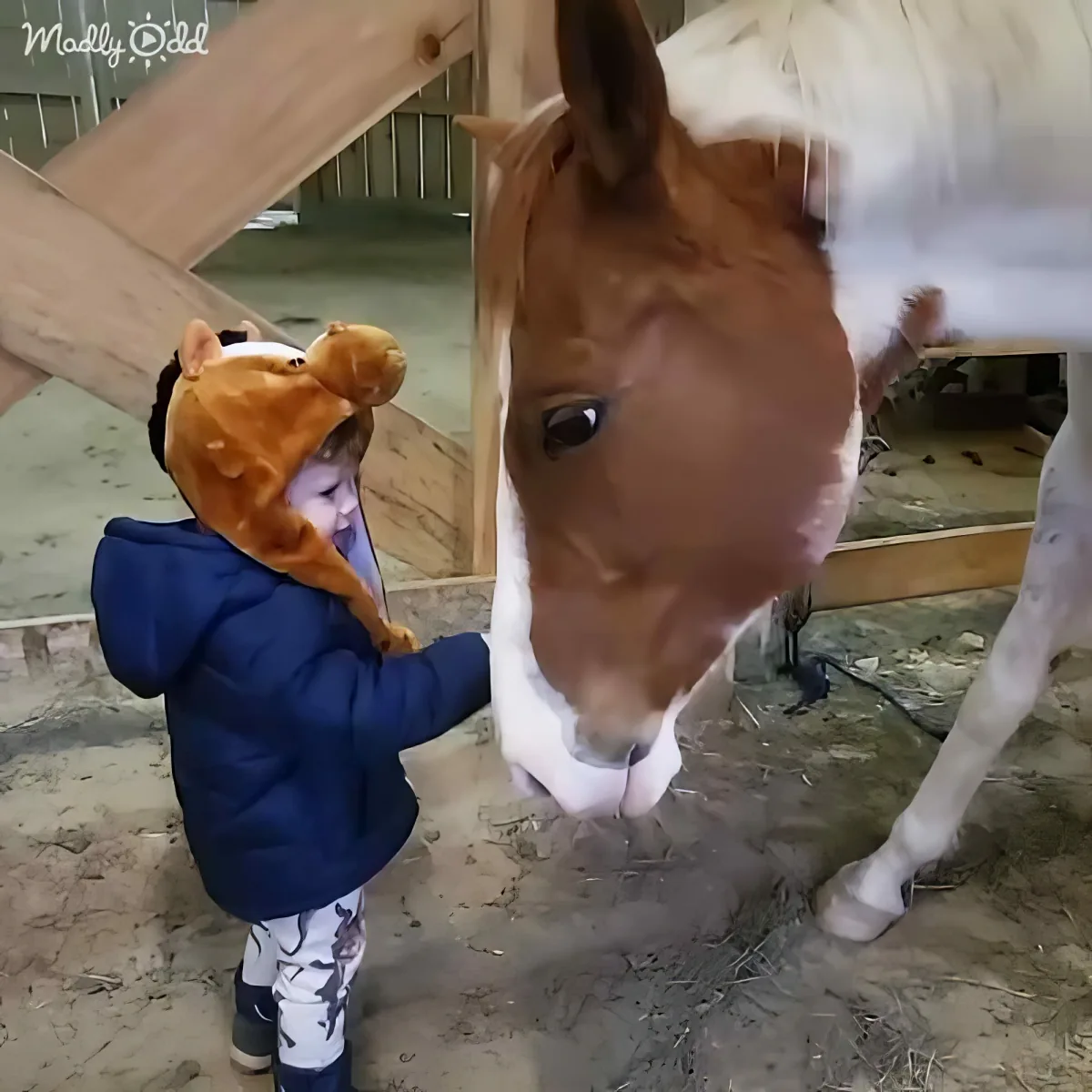 A child in a horse hat interacts with a horse in a stable, creating a heartwarming scene.