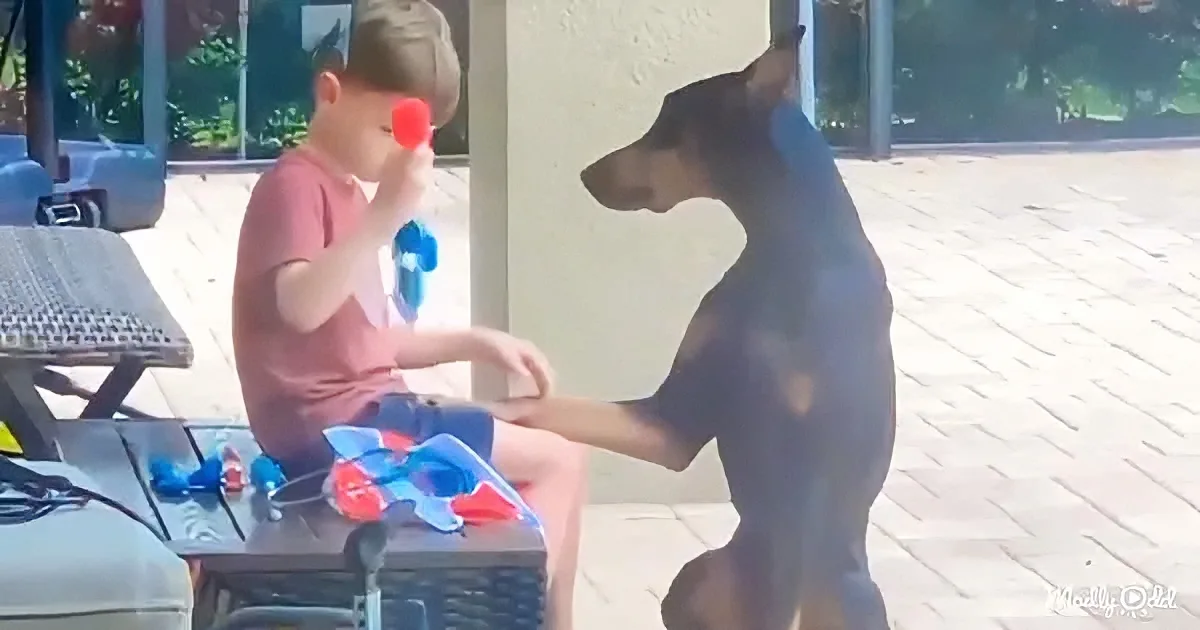 A boy sits at a picnic table, holding a red object, while a black dog sits beside him, reaching out.
