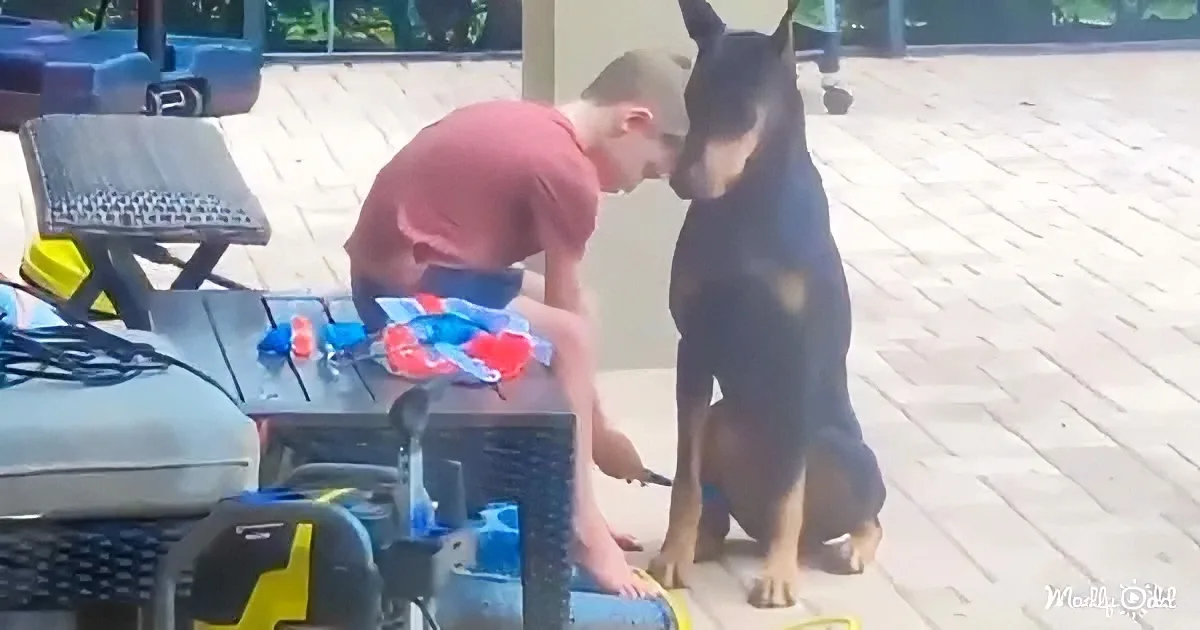 A man in a red shirt is interacting with a black dog on a brick patio near a table with tools.