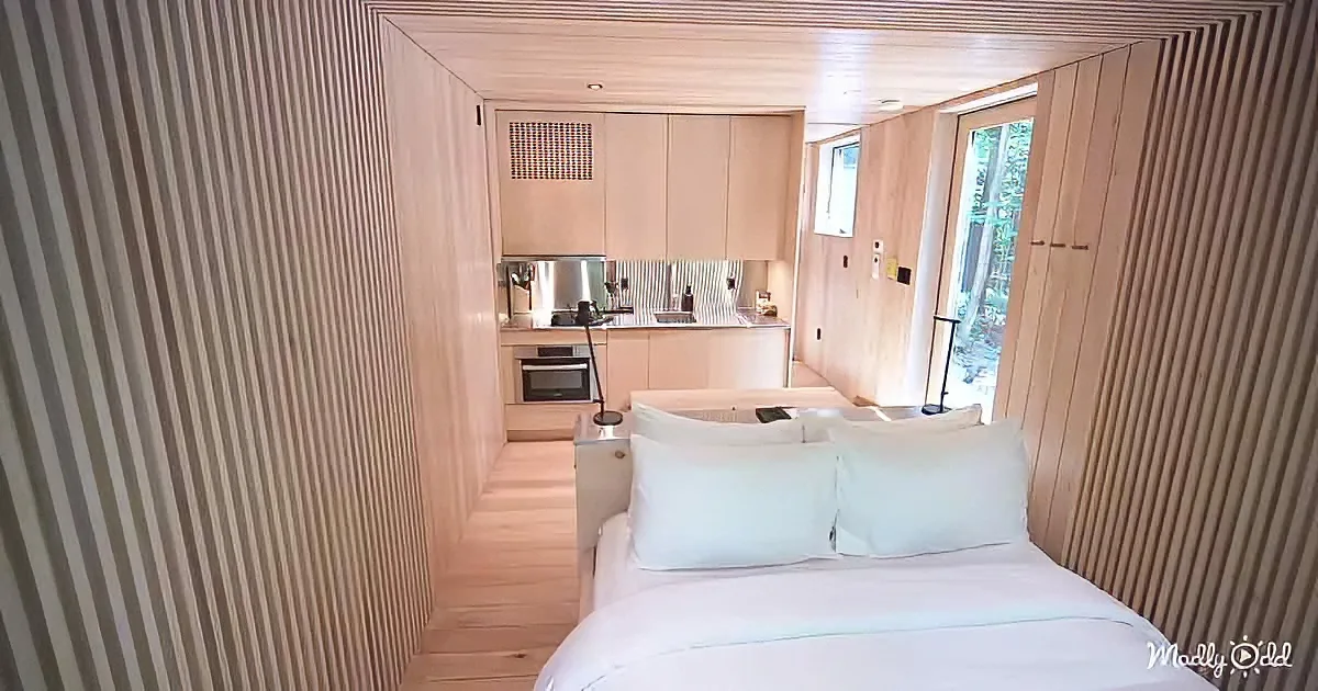 Mirror tiny house
