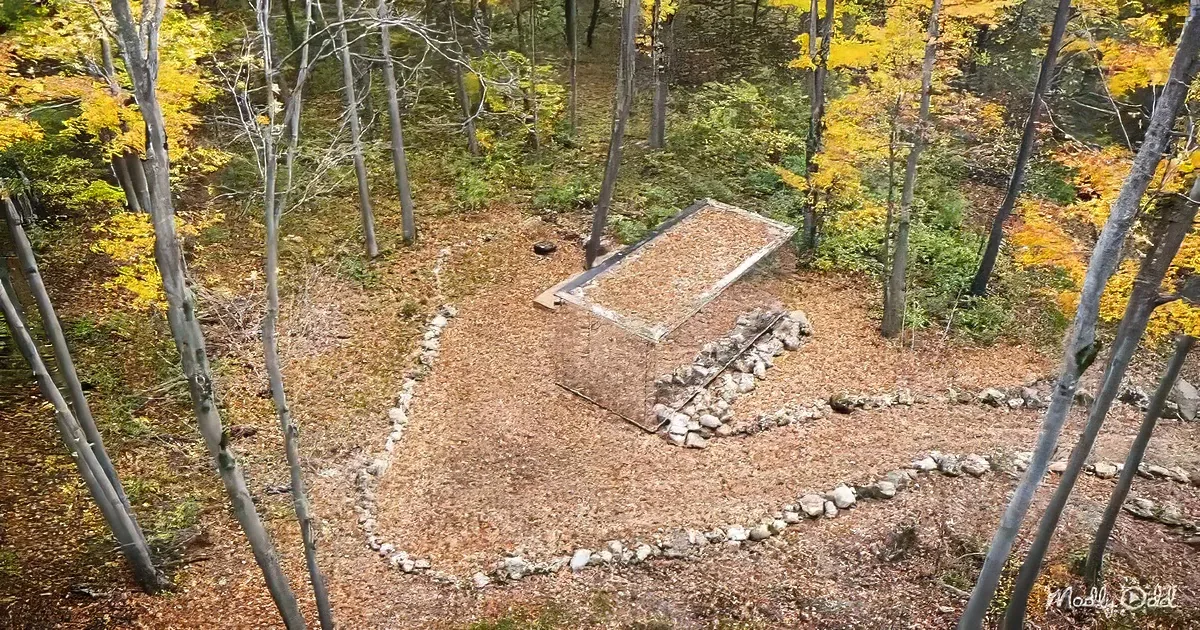 Mirror tiny house