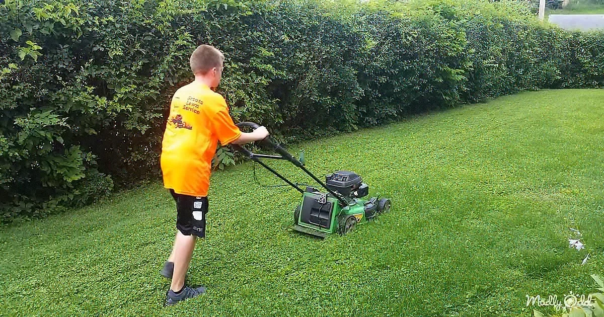 A person in an orange shirt mows a lawn with a green lawnmower near a hedge.