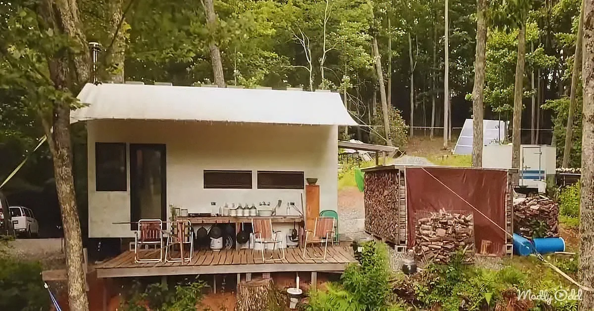 A small white cabin with a wooden deck, chairs, and outdoor kitchen sits surrounded by trees in a forested area.
