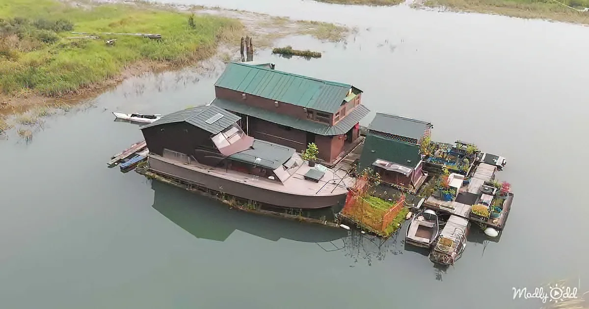 Aerial view of a houseboat with green roof, surrounded by water and boats, with a small dock and vegetation nearby.