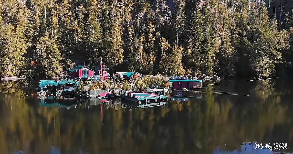 Colorful floating homes on calm lake surrounded by dense forest.