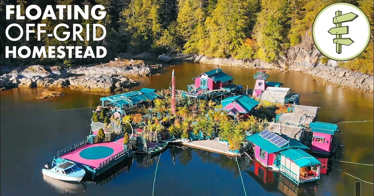 For 27 Years, This Couple Has Been Living off-Grid on a Self-Built Island