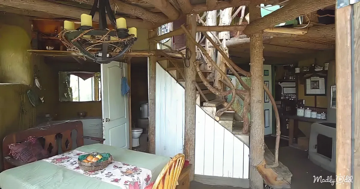 A rustic treehouse interior with wooden beams, a spiral staircase, and a dining table with fruit.