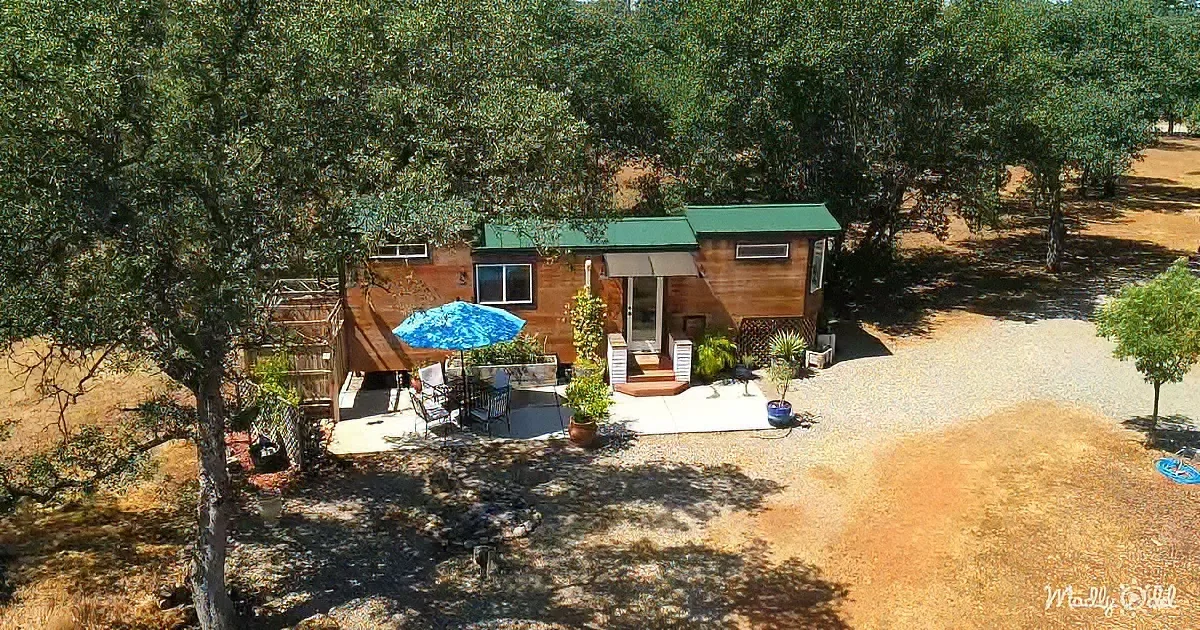 A cozy cabin with a green roof, surrounded by trees and a gravel driveway.