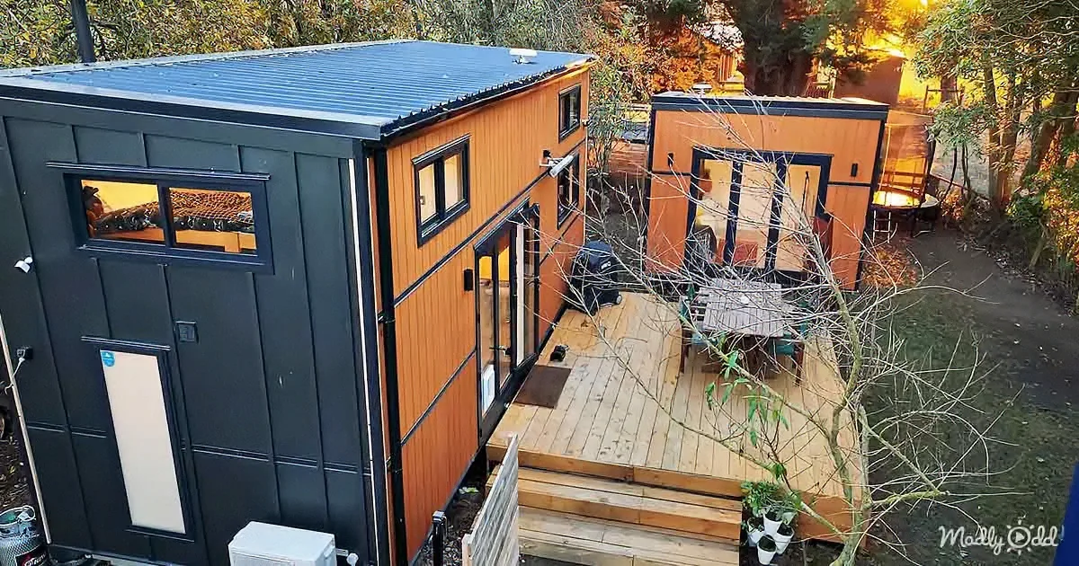 A modern tiny house with a black exterior and wooden panels sits on a wooden deck surrounded by trees.