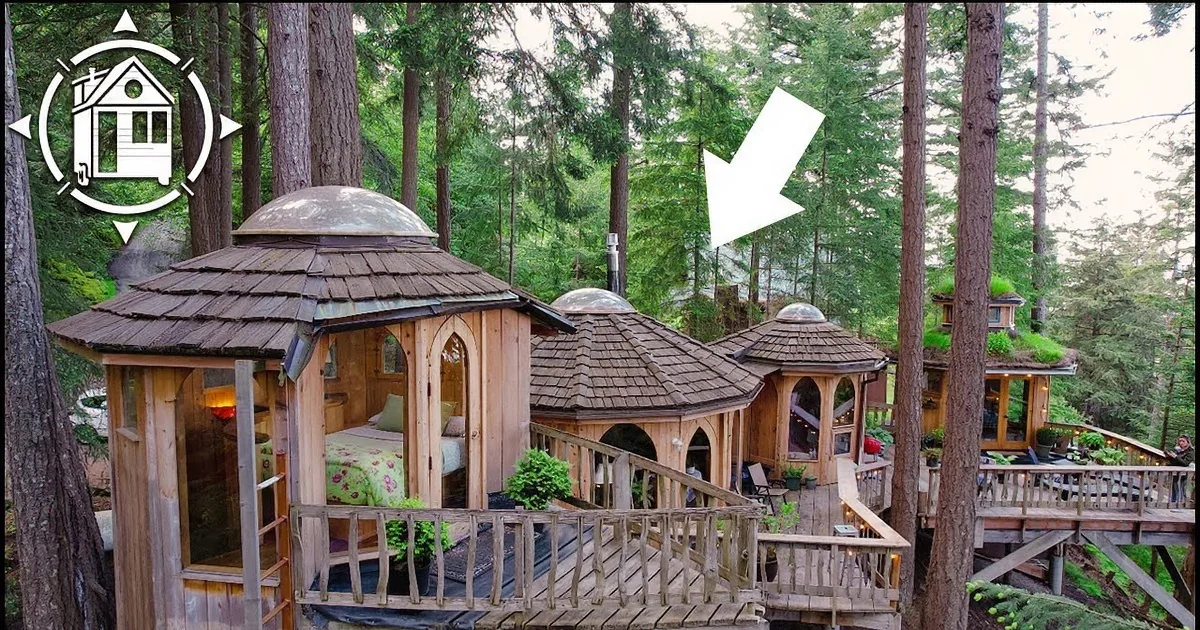For 8 Years, She Has Been Living Alone in a Fairytale Tiny House on an Island