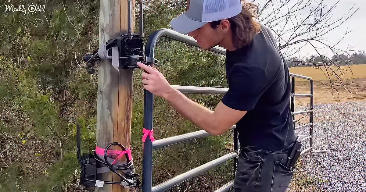 A man in a black shirt and cap adjusts a camera mounted on a wooden post near a metal gate.