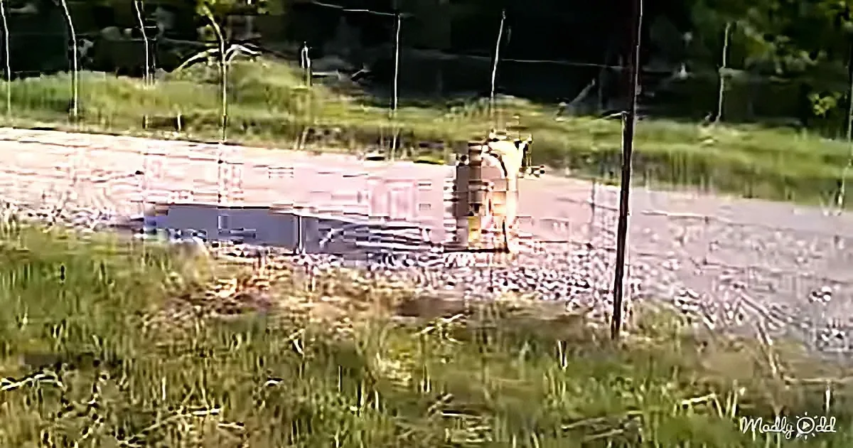 A train car is on a track surrounded by grass and trees.