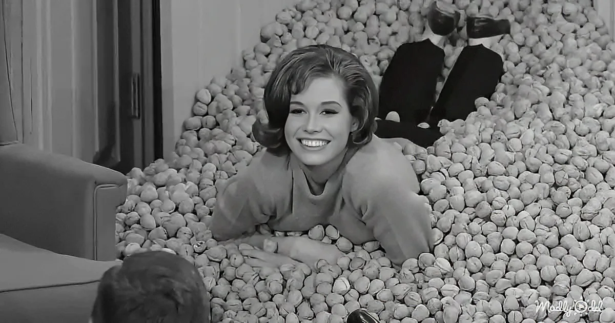 "Dick Van Dyke Show" scene