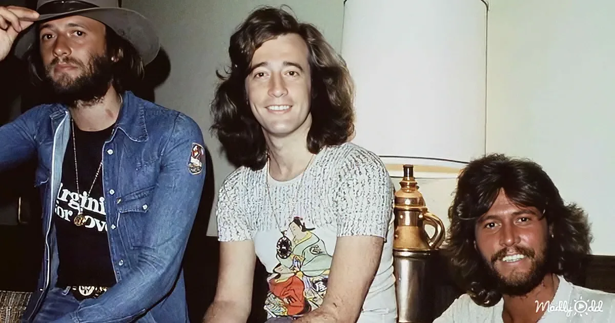 Three men with long hair and beards, one in a cowboy hat, sitting together in a casual setting.