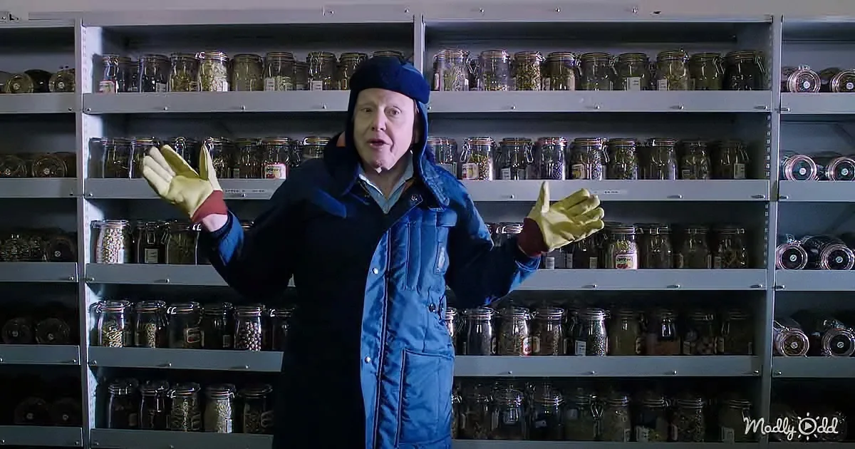 A person in a blue parka and gold gloves stands in front of shelves filled with jars of various items.