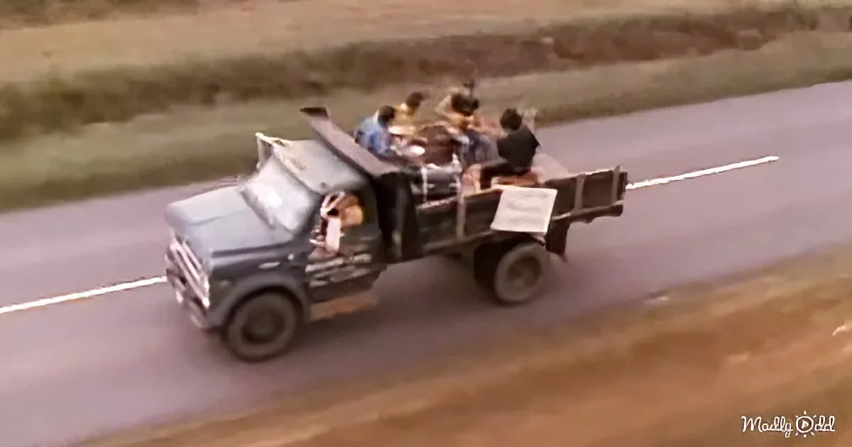 The Georgia Satellites