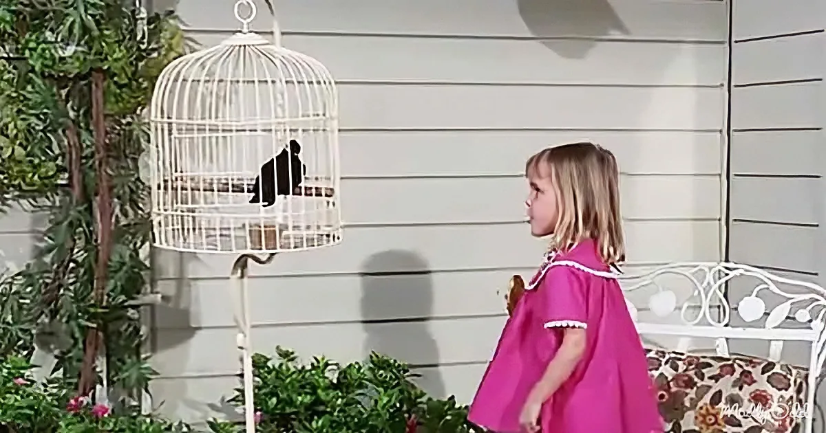 A young girl in a pink dress stands outside, looking at a white birdcage with a black bird inside.