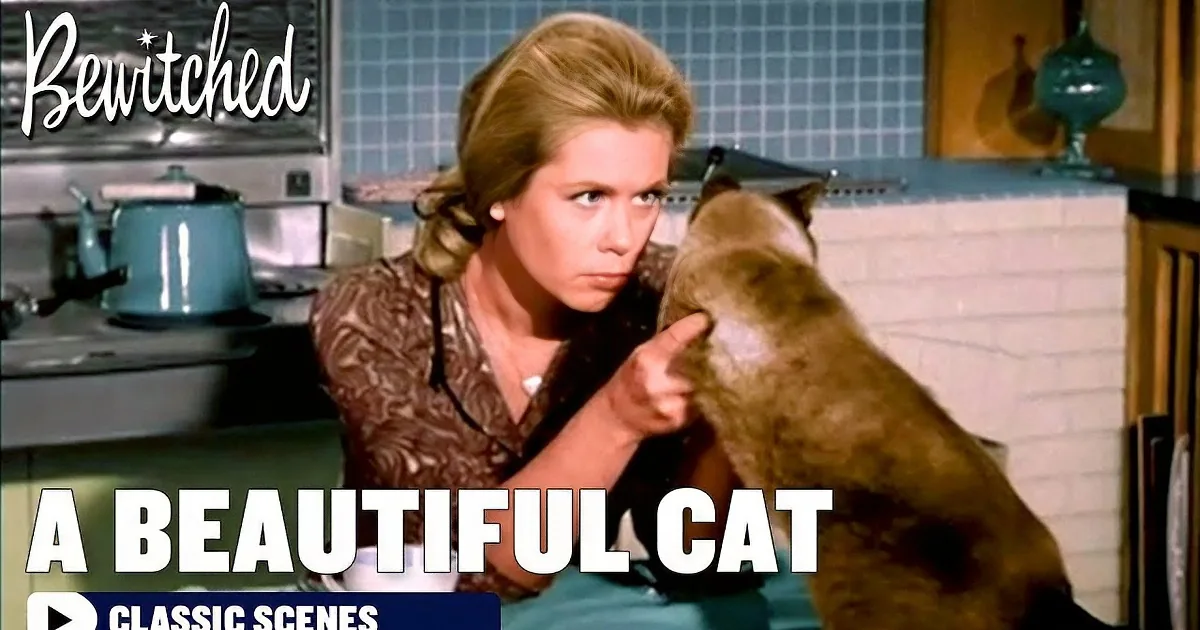 Samantha Turns a Cat Into a Beautiful Model With Hilarious Results on Bewitched