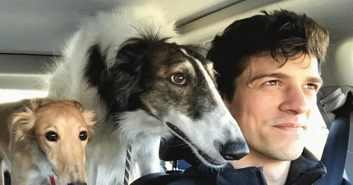 Dog the Size of a Horse Has a Personality to Match