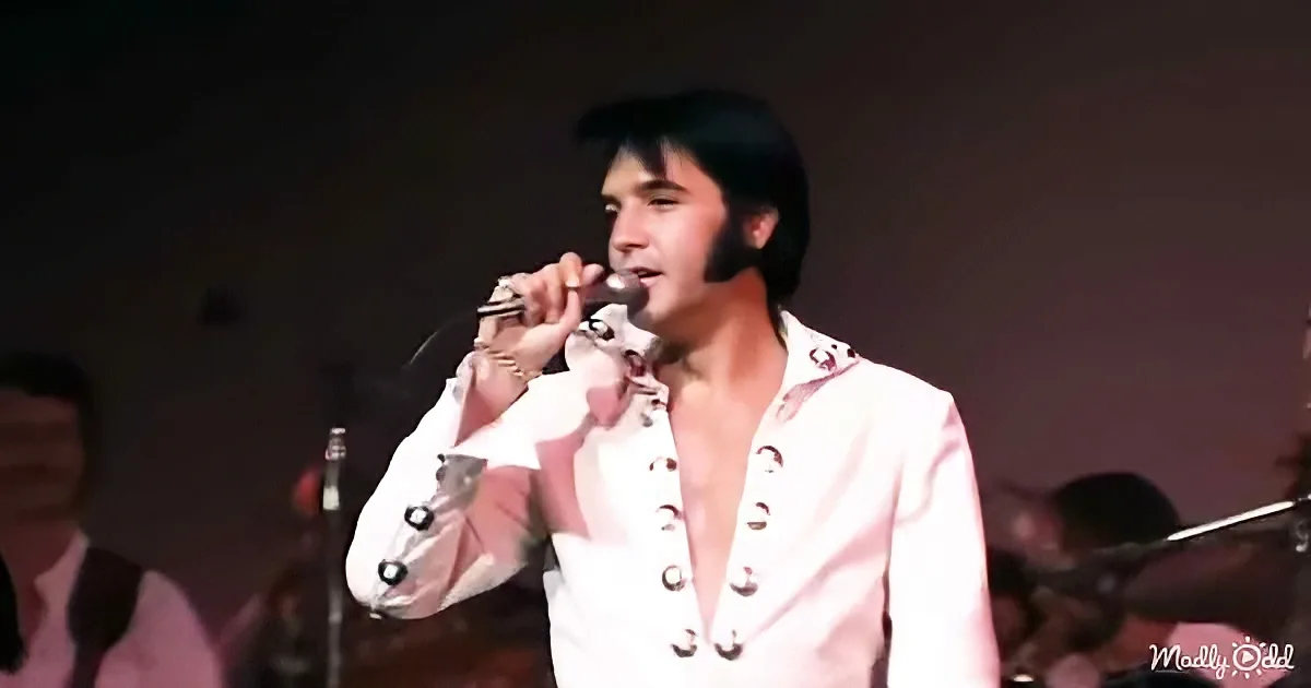 Elvis Performs 'Love Me Tender' to a Live Crowd