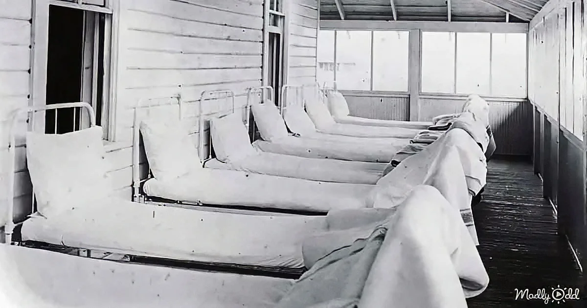 Rows of hospital beds in a wooden room with large windows.