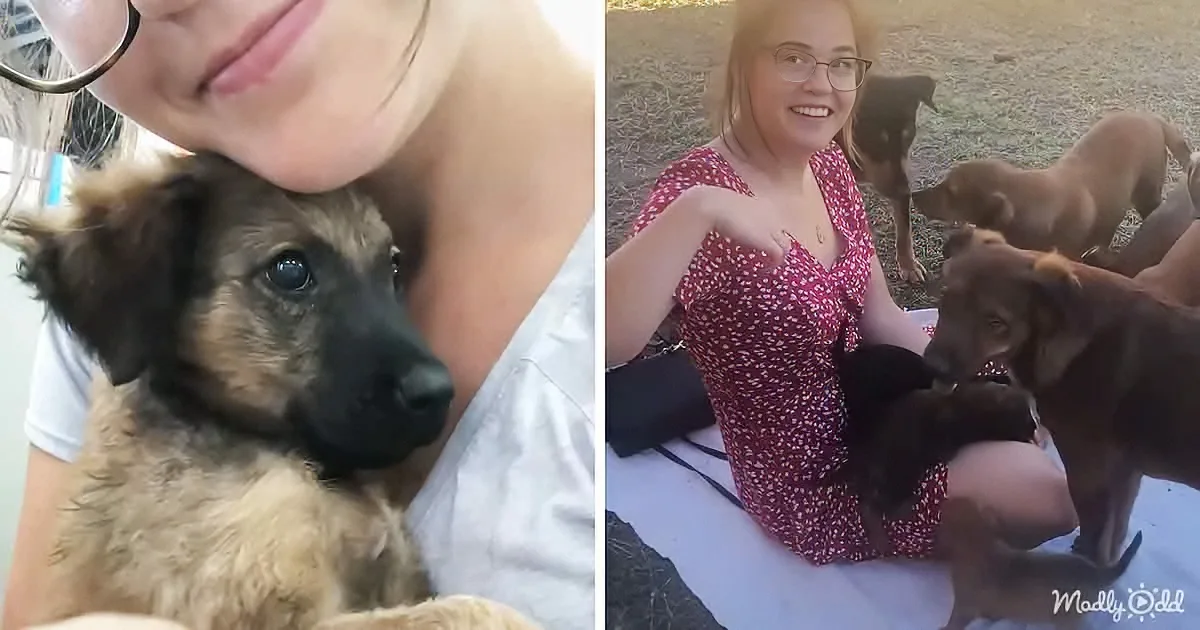 Woman Wakes up and Spends Her Whole Day Saving Stray Dogs