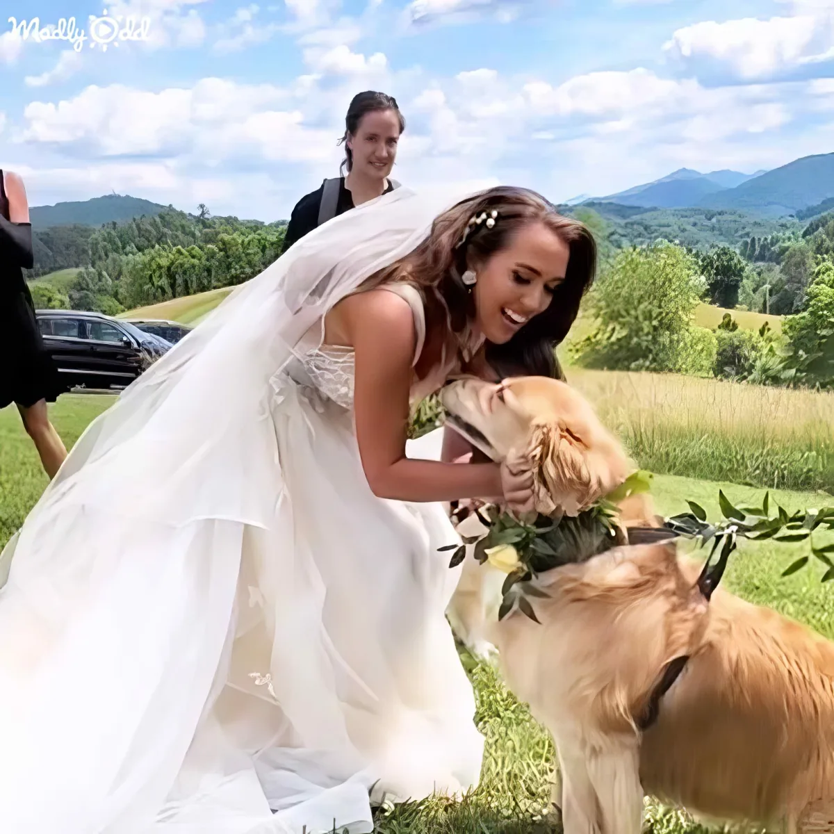 A bride in a white wedding dress is petting a golden retriever adorned with a floral collar.