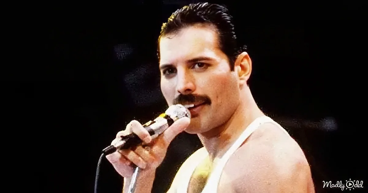 Freddie Mercury, iconic singer, passionately singing into a microphone on stage.