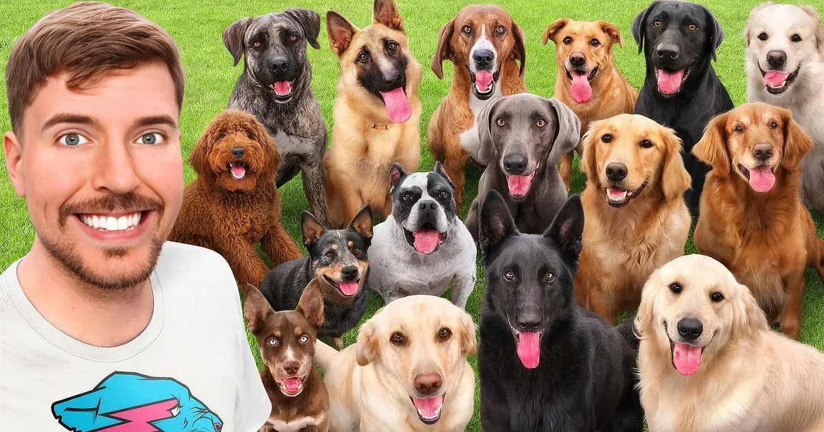 Youtuber Finds Homes for Every Dog in the Shelter