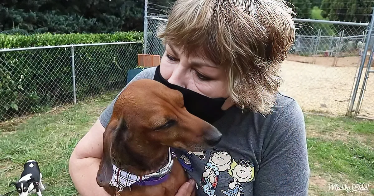 A woman wearing a mask holds a brown dachshund puppy, both appearing content in a grassy area with a fence and trees in...