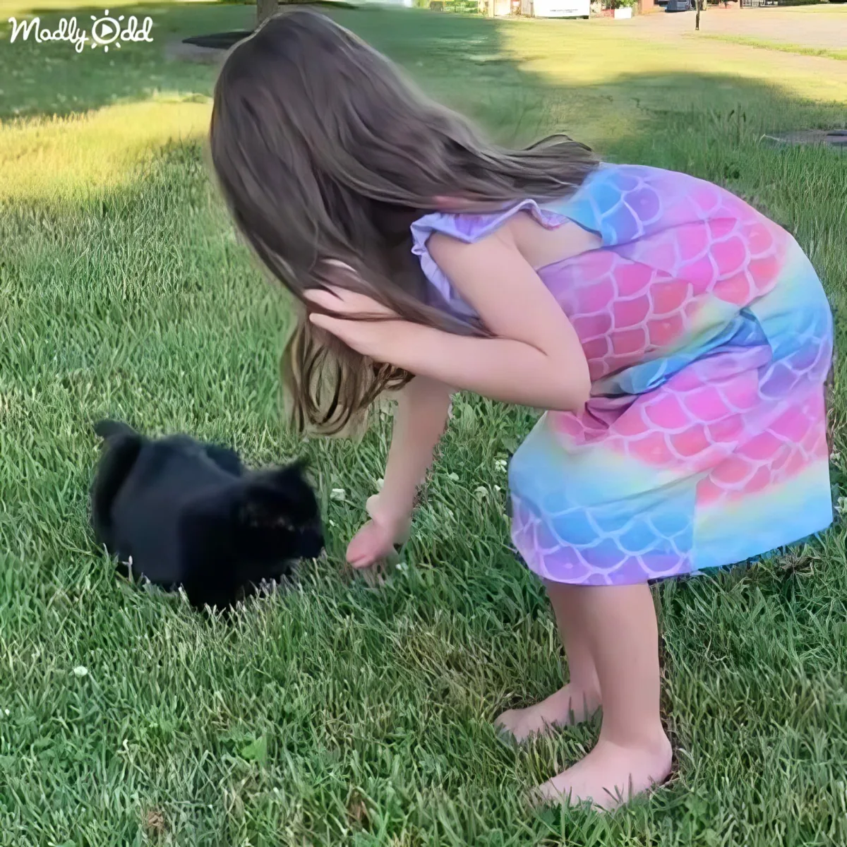 A girl in a mermaid dress crouches on grass, reaching out to pet a small black dog.