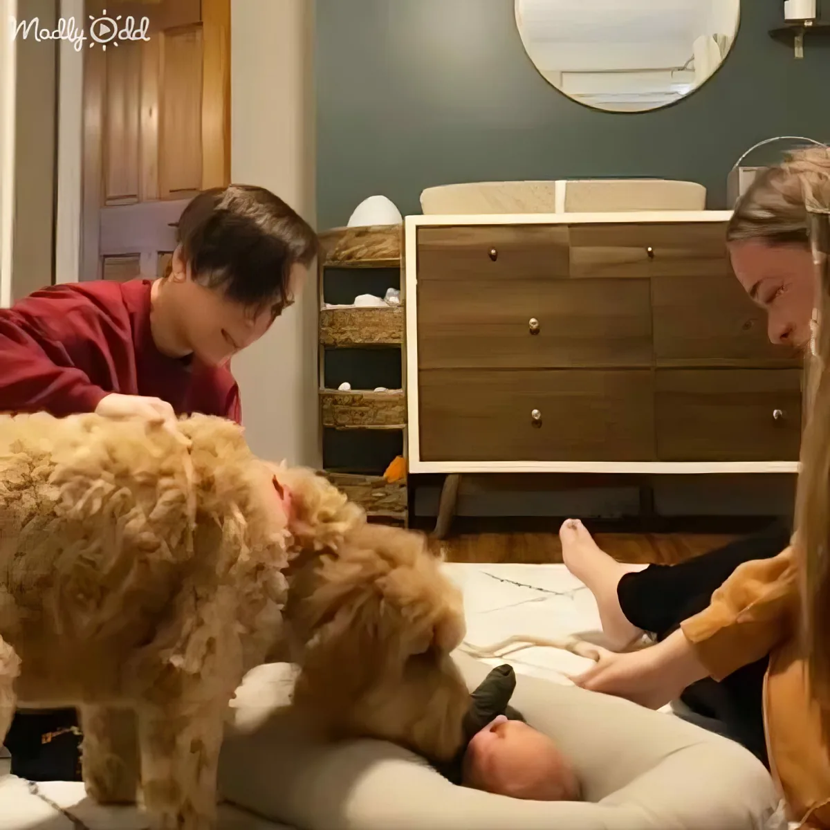 Dog and baby