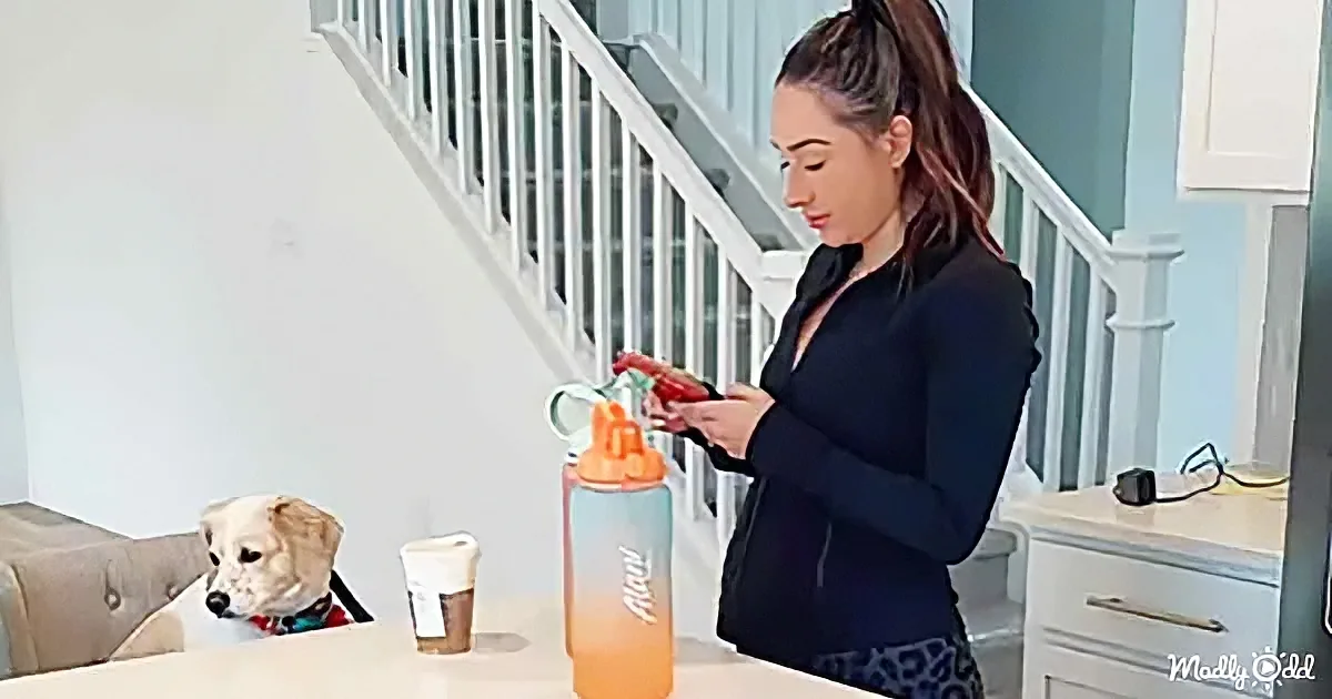 Woman in black jacket looks at phone, dog sits patiently at table with coffee cup and water bottle.