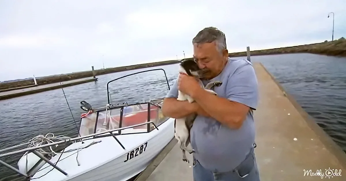 A man hugs a dog on a dock near a small boat labeled "JR287."