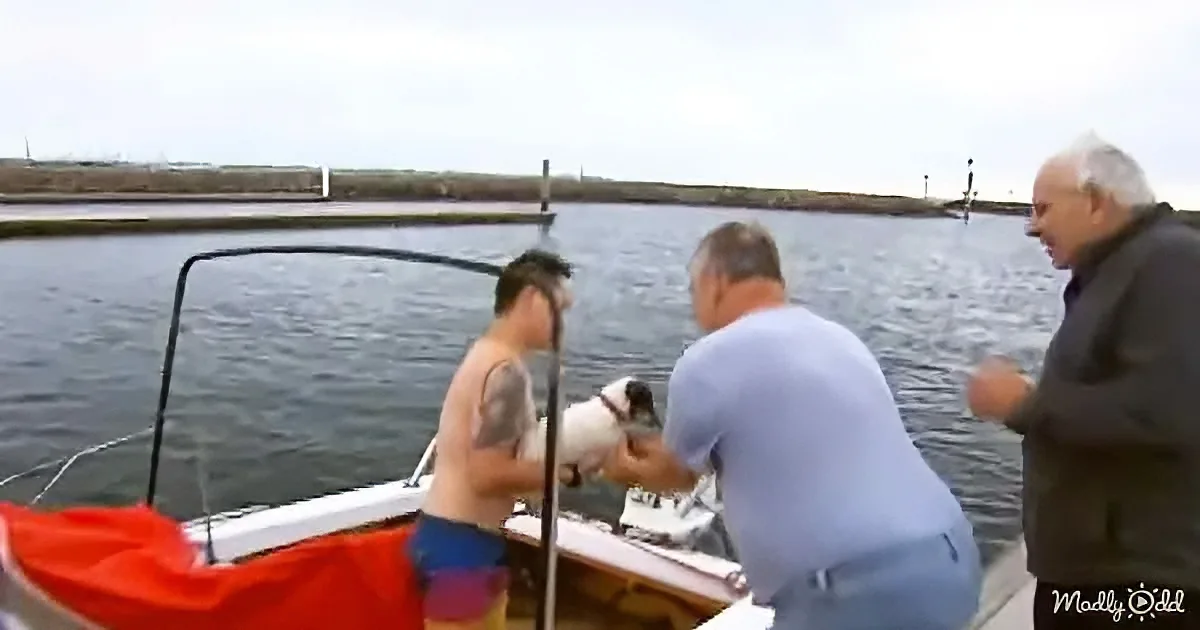 Three men on a boat, one holding a small dog, another in a blue shirt, and the third in a dark jacket, with a calm water...