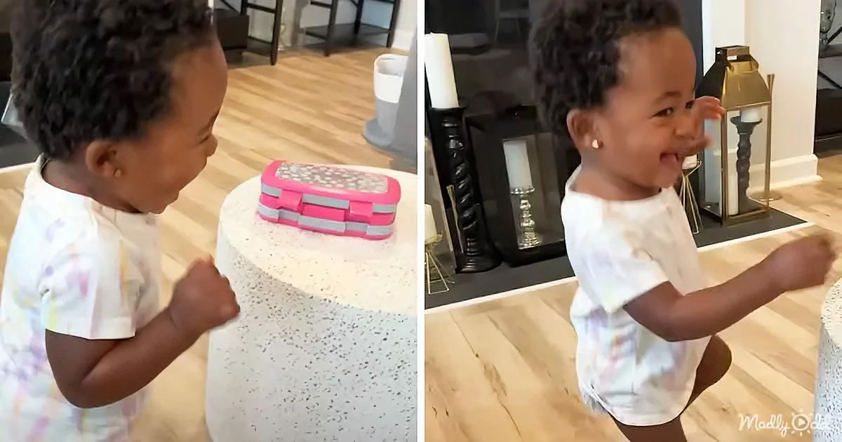 Toddler's Reaction to Learning Colors Is the Funniest Thing We've Ever Seen