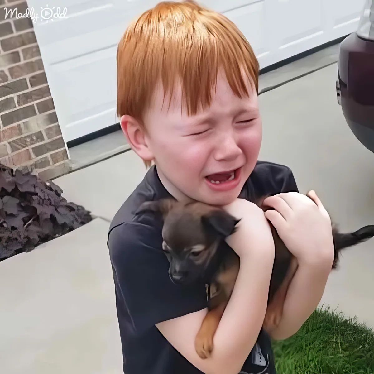 A young boy with red hair is crying while holding a small brown and black puppy.