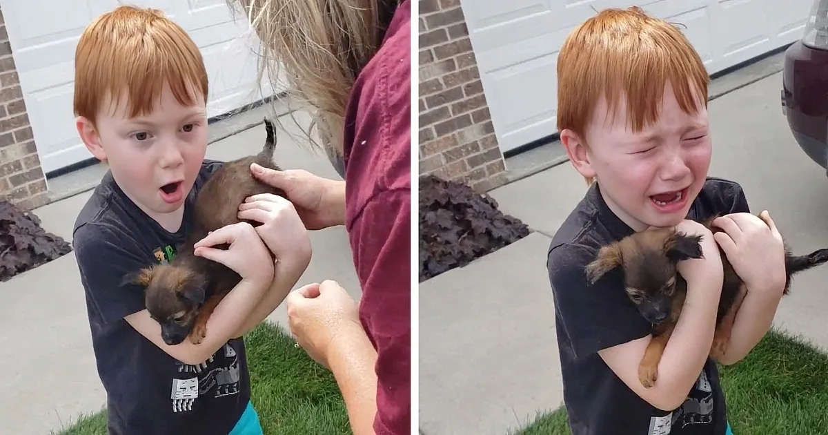 Grandma Adopts a Puppy for Grandson Who Was Saving up to Buy One