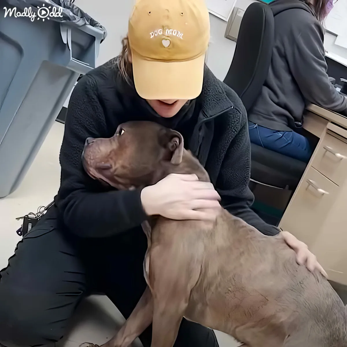 A person wearing a "Dog Mom" cap is hugging a brown dog in what appears to be a veterinary setting.