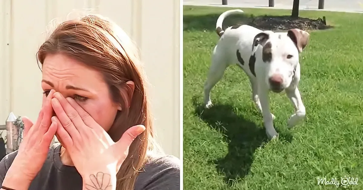 A woman with a tattoo covers her face, while a white dog with black spots stands on grass.