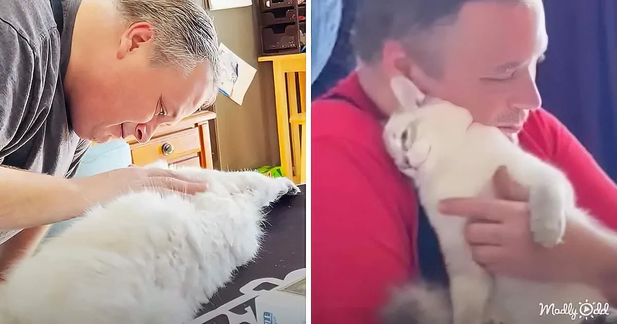 Dog-Loving Husband Talks Wife Into Adopting a Stressed Cat