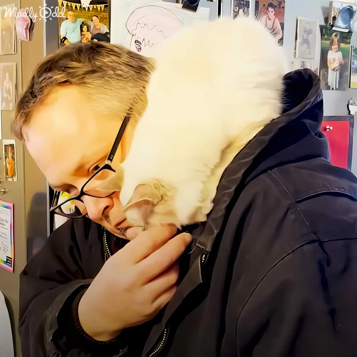 A person in a black jacket holds a white cat close to their face, surrounded by a wall with photos and decorations.